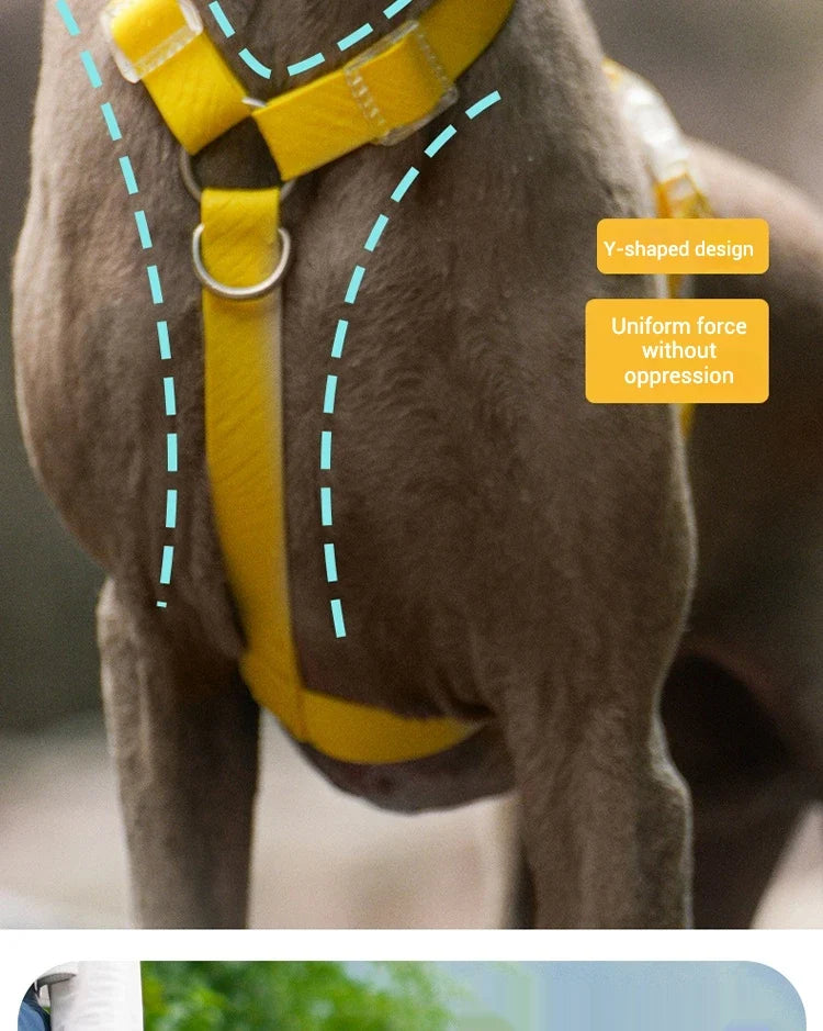 Waterproof Series Dog Collar Leash Harness - MyPetDollar.com
