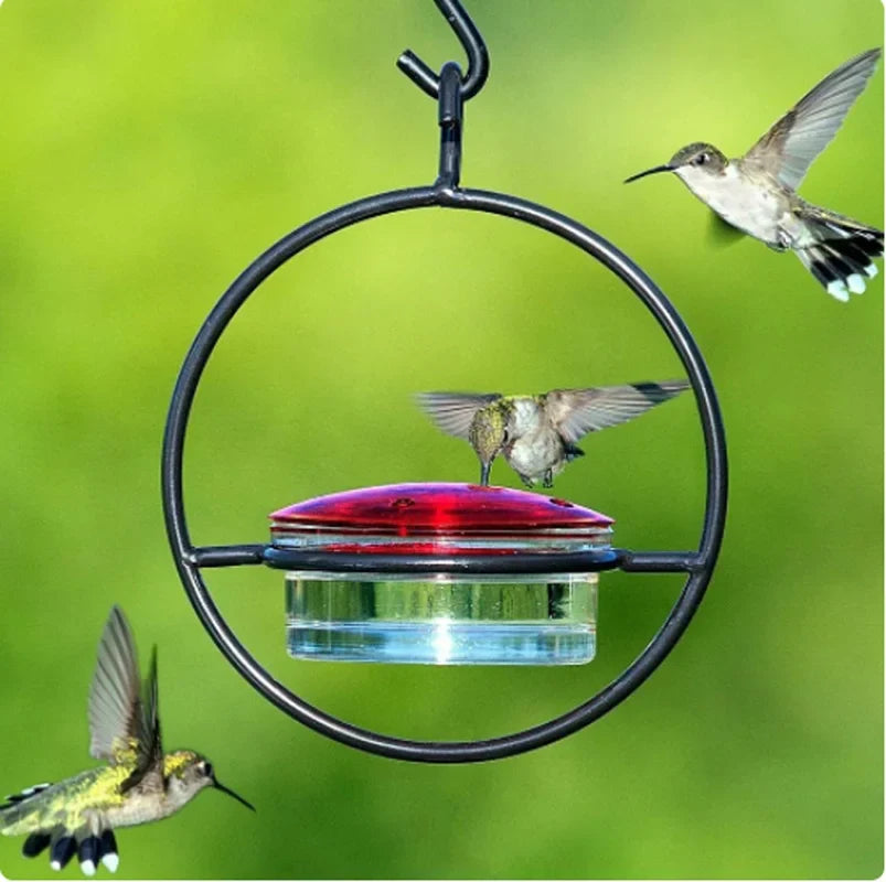 Outdoor Humming Bird Feeder Metal Hanging - MyPetDollar.com