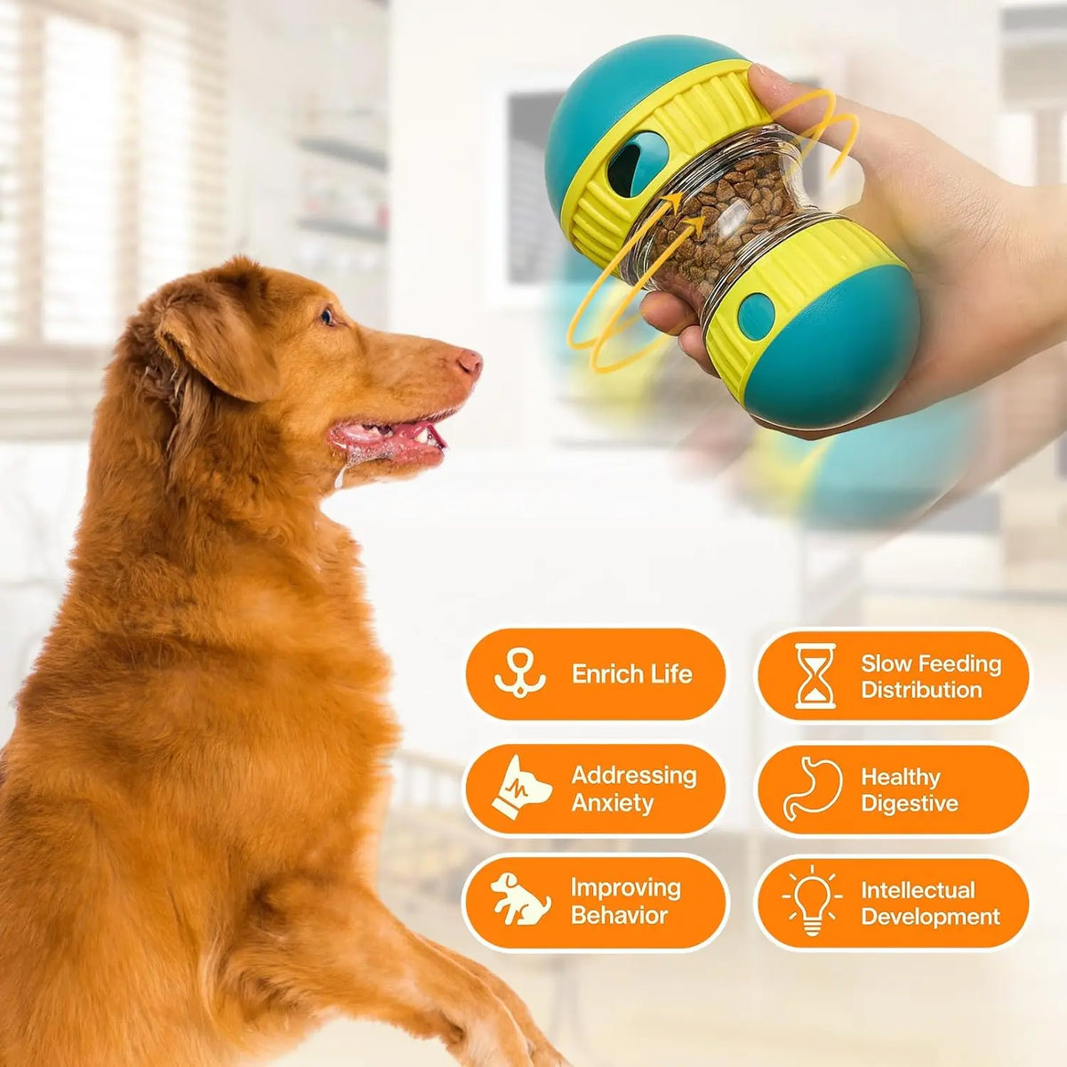 Dog Puzzle Toy Elliptical Track Rolling - MyPetDollar.com
