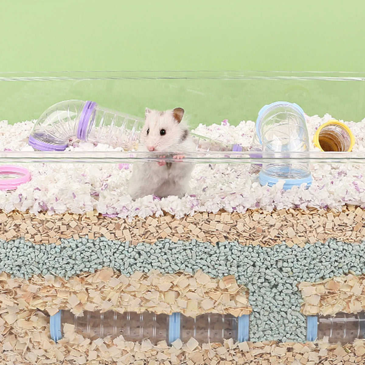 Pet Sports Training Pipeline Set for Hamster - MyPetDollar.com