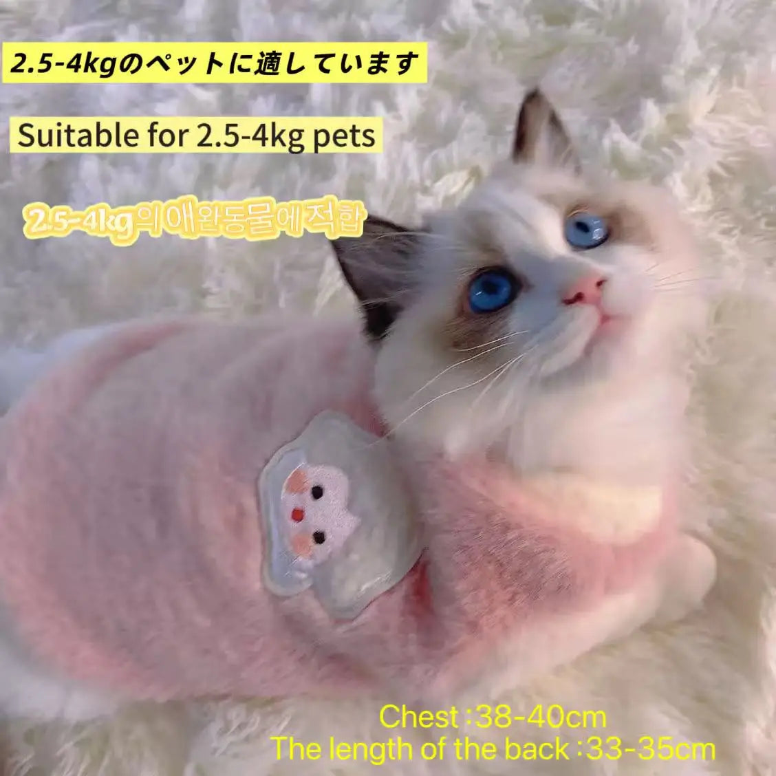 Adorable Autumn and Winter Cat Apparel