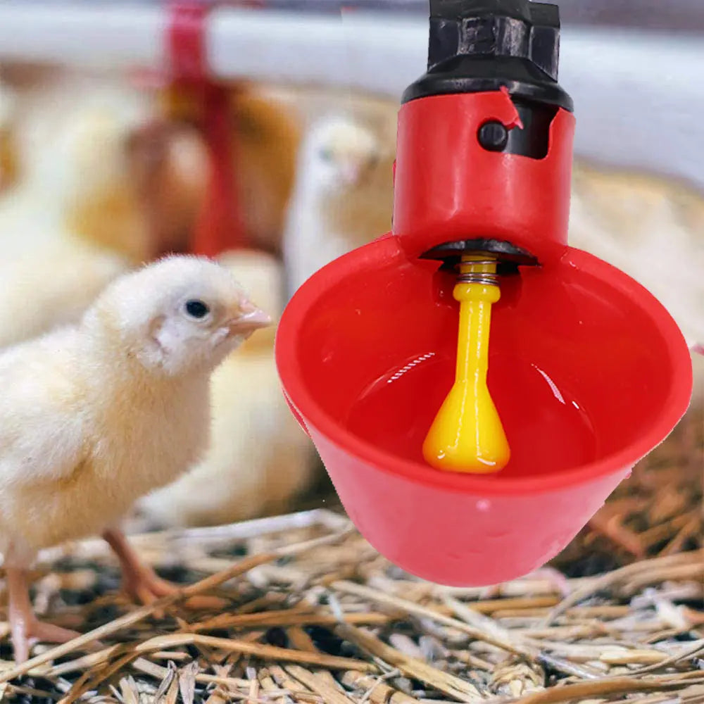 Farm Automatic Quail Drinker Plastic Chicken - MyPetDollar.com