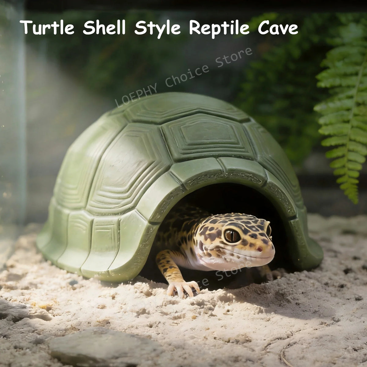 Turtle Shell Style Reptile Cave Hide Double - MyPetDollar.com