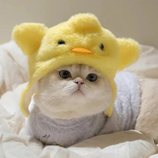 Cute Refined Cat Hat Plush Elastic Winter - MyPetDollar.com