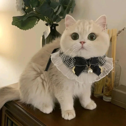 Cute Dog Collar Lace Bowknot Pearl Cat Necklace (8 colors)