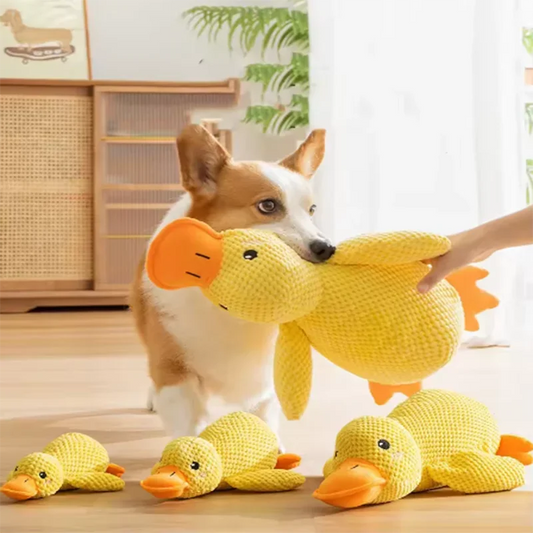 Dog sleeping with a dog hug duck toys to - MyPetDollar.com