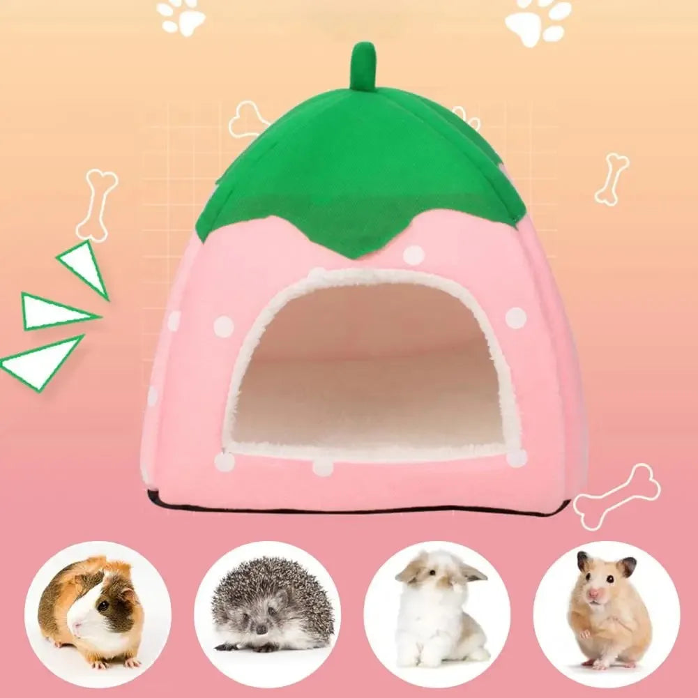 Bright Colored Pet Bed Space Pet Bed Cozy - MyPetDollar.com