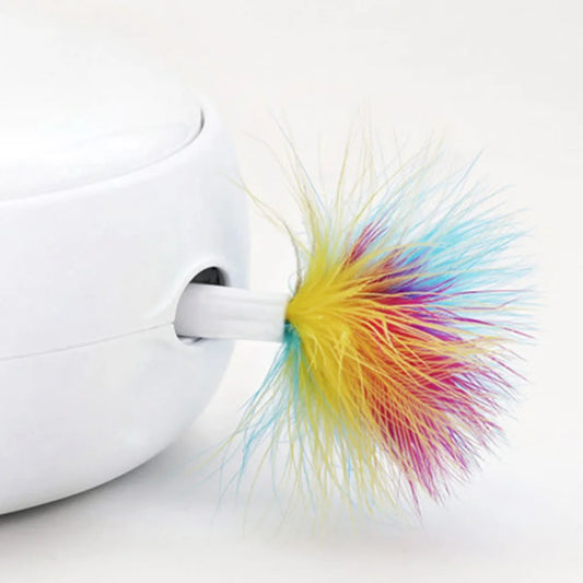 3Pcs Interactive Electric Cat Toys Auto - MyPetDollar.com