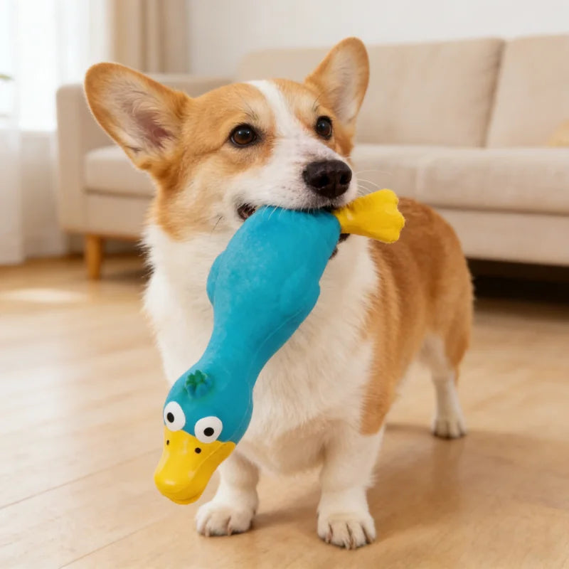 Bite Resistant Squeaky Dog Rubber Toy Latex - MyPetDollar.com