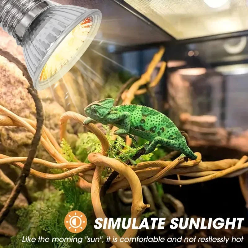 25/50/75W UVA UVB Reptile Lamp Bulb Turtle - MyPetDollar.com