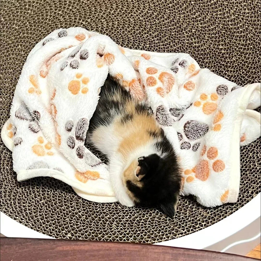 Warm Pet Cat Blanket Autumn Winter Cozy - MyPetDollar.com