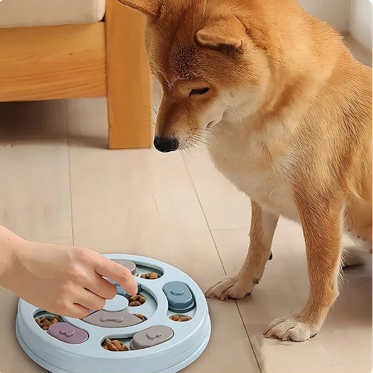 Pet Feeder Dog Educational Toys Increase - MyPetDollar.com