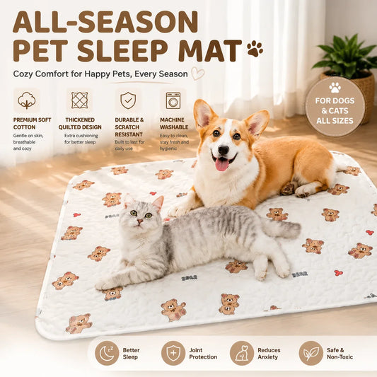 Pet Bed Mat for Dogs Cats Summer All Season - MyPetDollar.com
