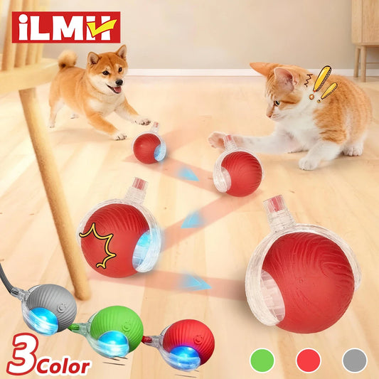 Cat Interactive Ball Plaything