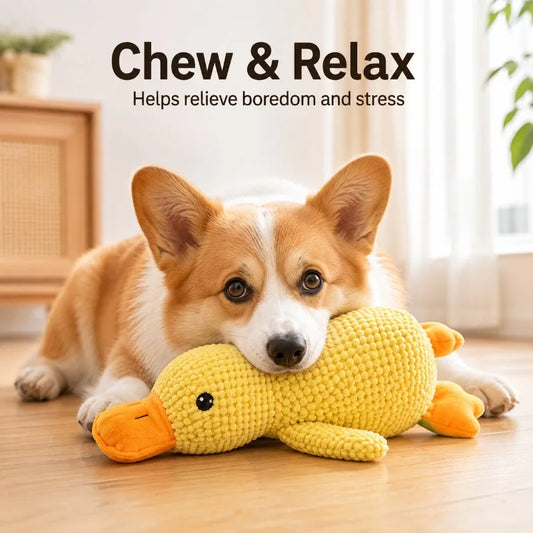 Soft Chenille Duck Dog Toy with Squeaker, - MyPetDollar.com