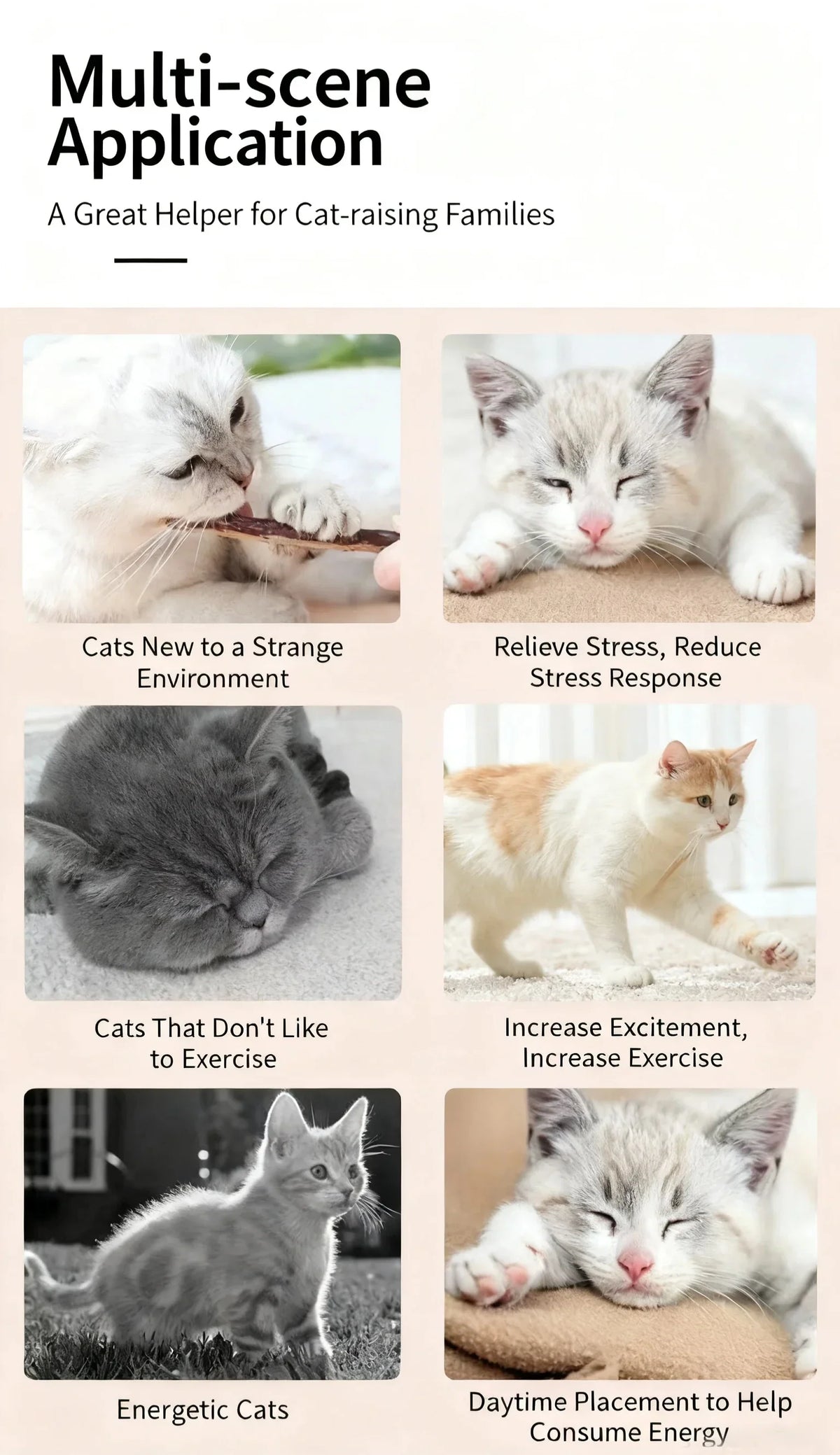 Natural Silver Vine Chew Sticks Catnip Molar - MyPetDollar.com
