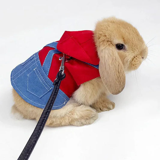Denim Rabbit Bunny Costume Clothes with - MyPetDollar.com