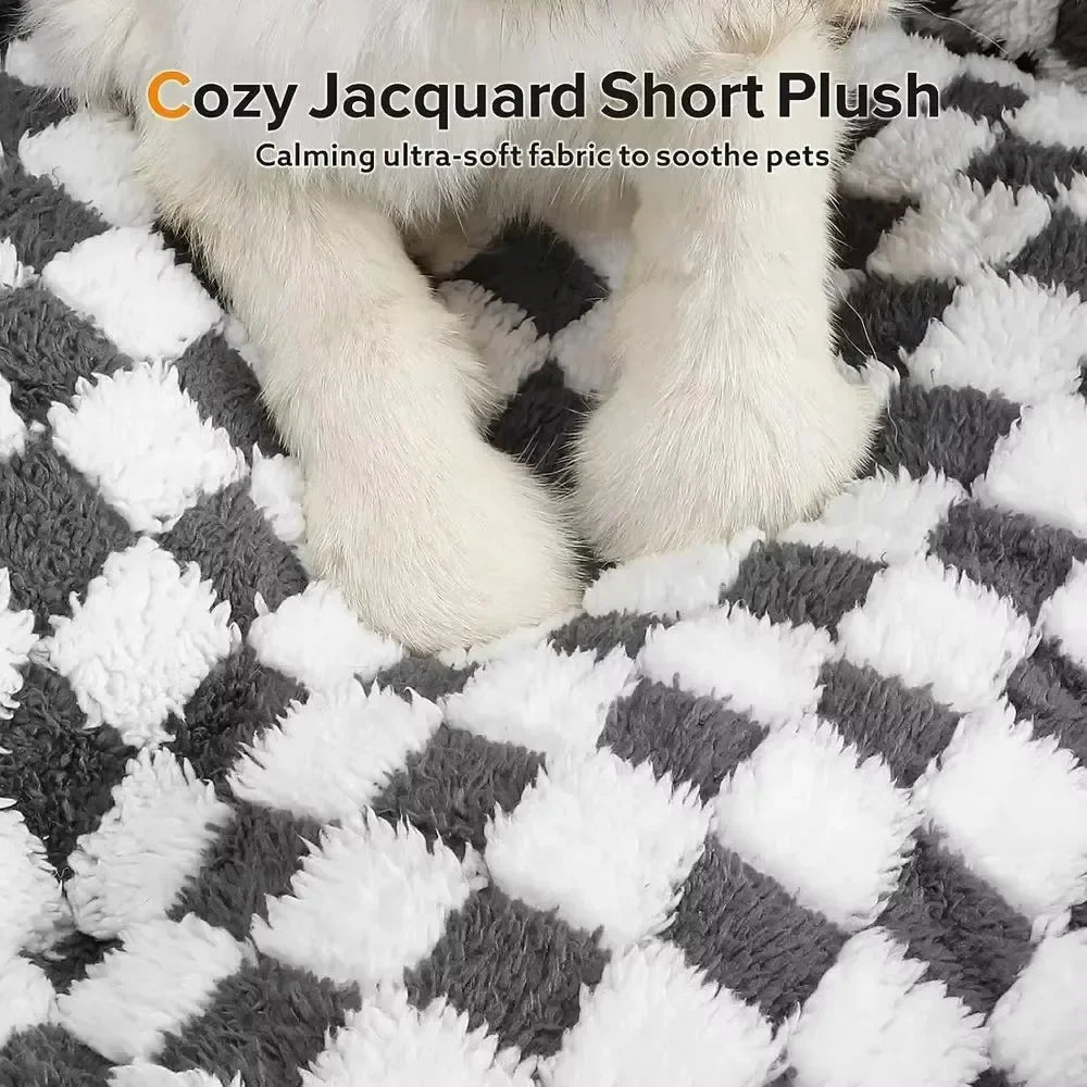 Checkered Pet Bed A square-shaped pet bed - MyPetDollar.com