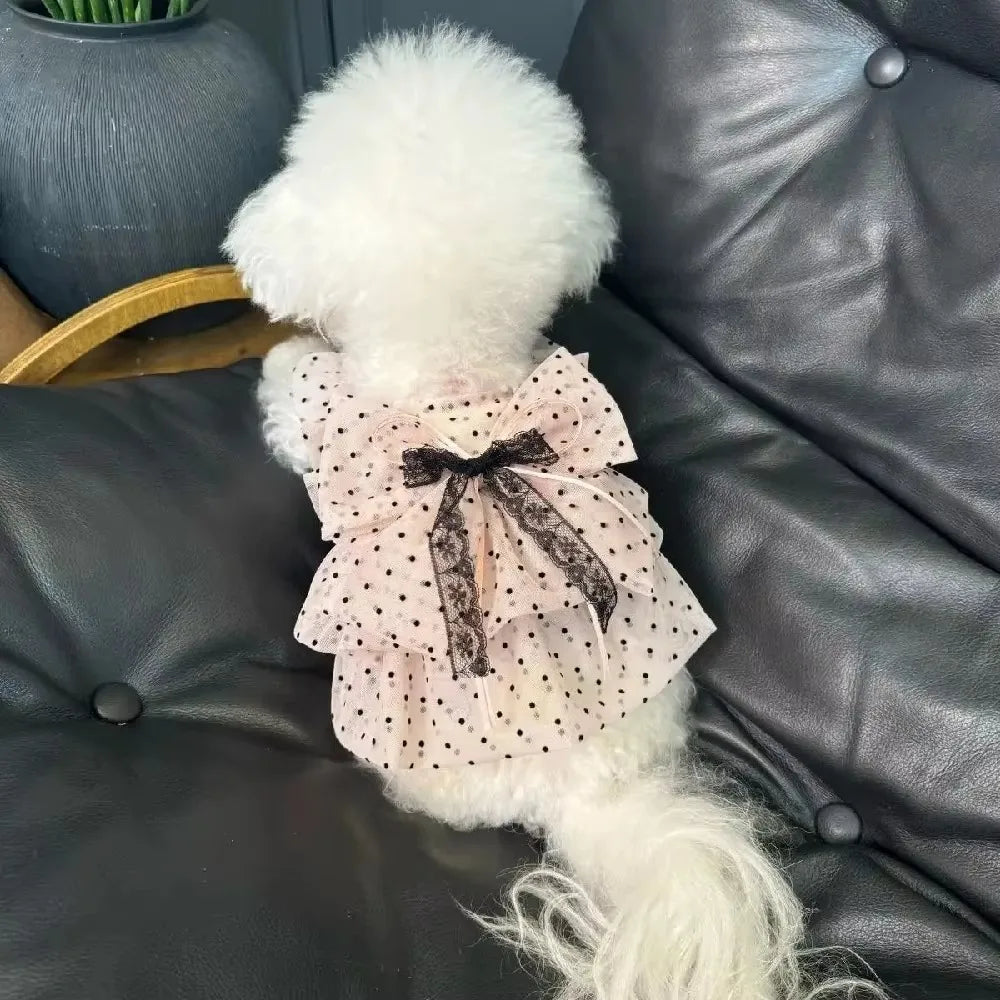 Thin Dogs Polka Dot Lace Dress Soft Fabric - MyPetDollar.com