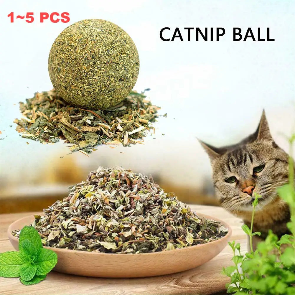 1~5PCS Natural Catnip Cat Wall Stick-on Ball - MyPetDollar.com