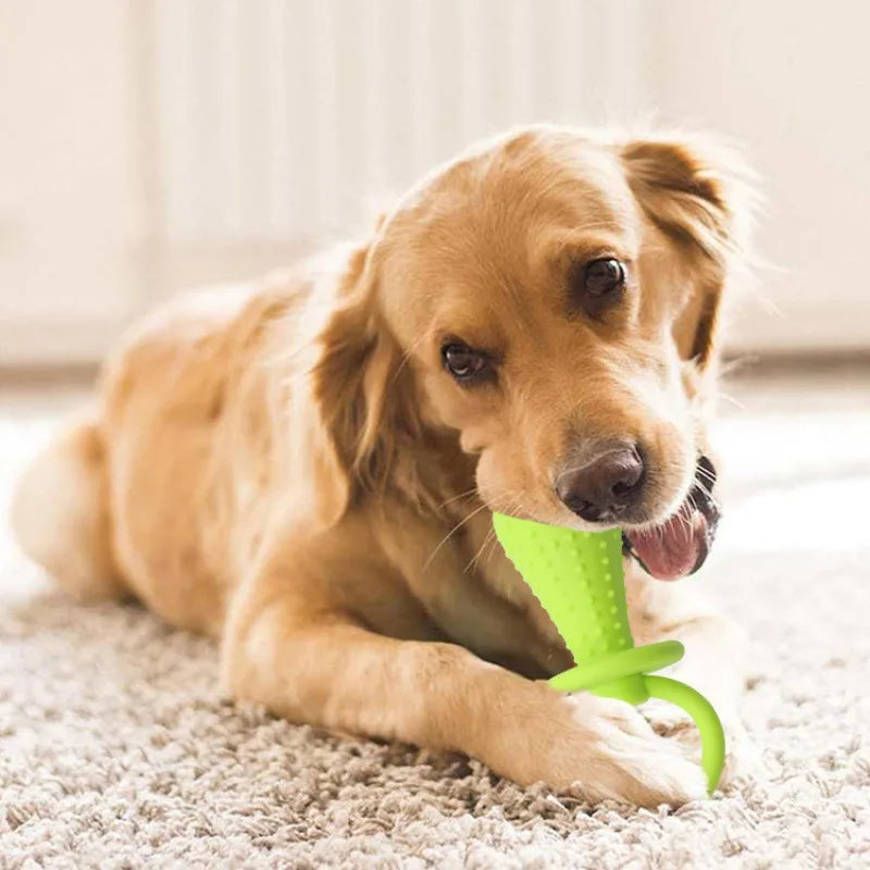Toys For Small Dogs Indestructible Dog Toy - MyPetDollar.com