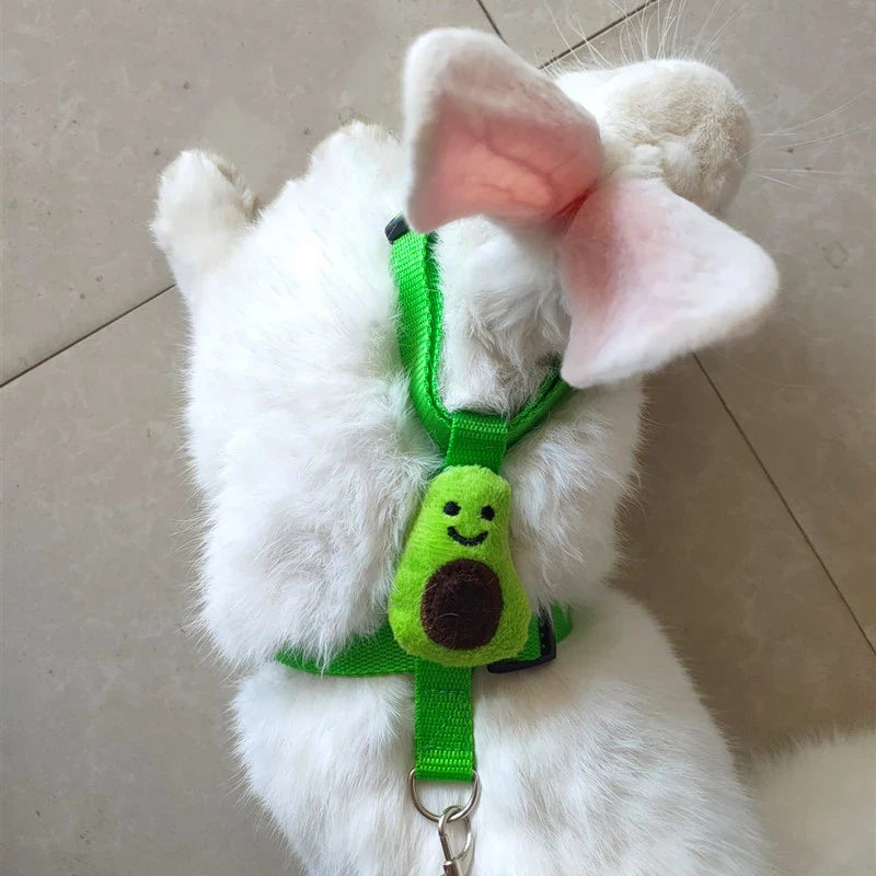 Small Animals Outdoor Wakling Supplies - MyPetDollar.com