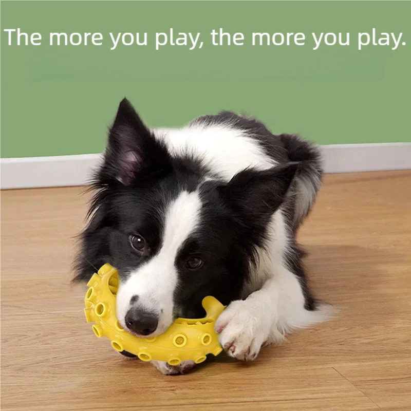 TPR Pet Dog Toys for Small Medium Dogs - MyPetDollar.com