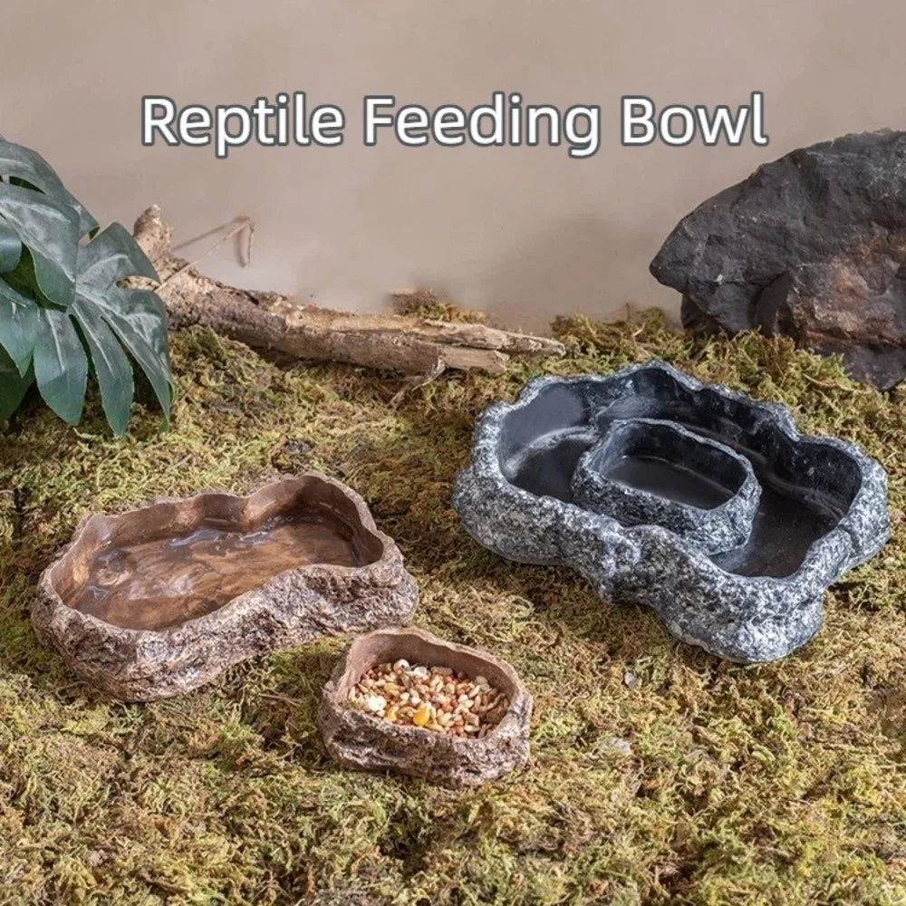 Simulated Rock Reptile Food Bowl Multiple - MyPetDollar.com