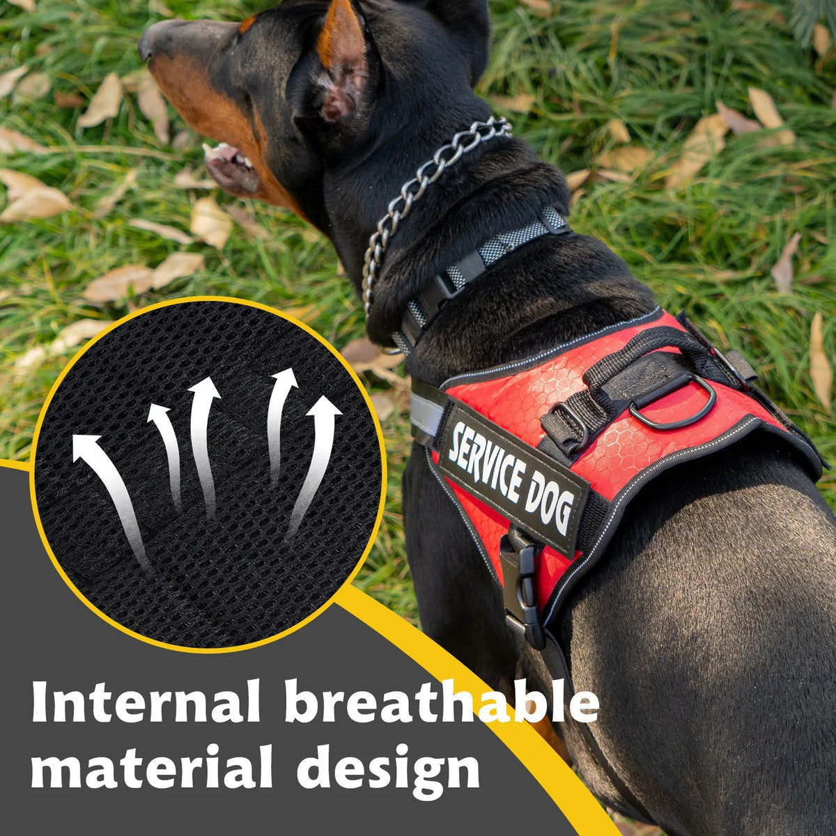 Chest Strap Dog Vest Harness Medium and - MyPetDollar.com