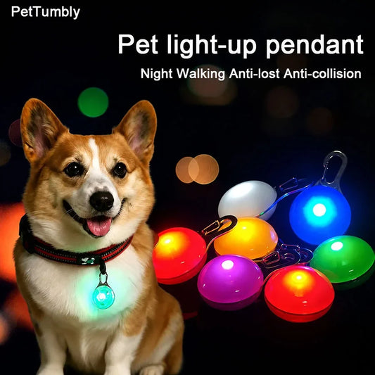 Rechargeable USB LED Dog Collar Pendant Pet - MyPetDollar.com