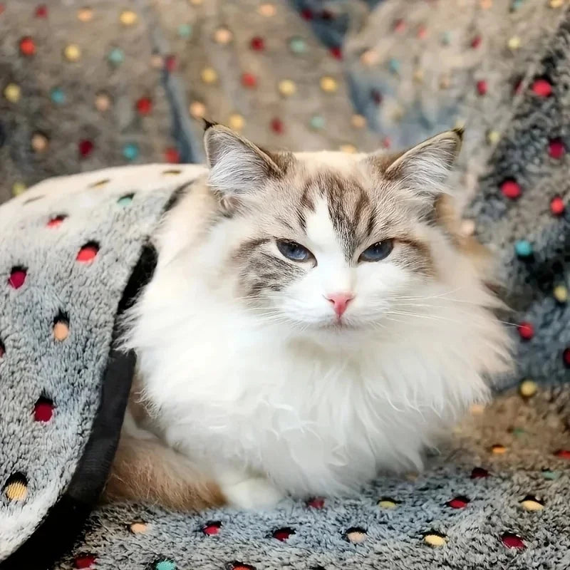 3PCS Soft Fluffy Pet Blanket Cute Dot - MyPetDollar.com