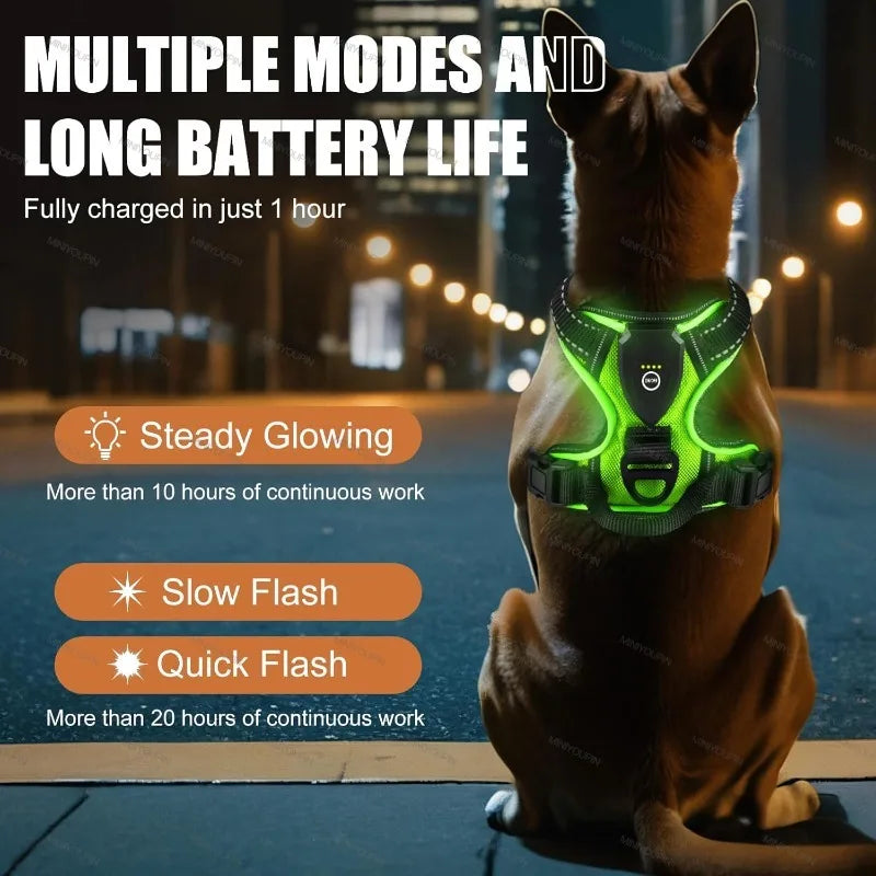 LED Glowing Luminous Dog Harnesses Essential - MyPetDollar.com