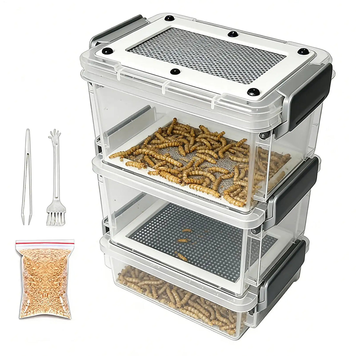 Reptile Feeding Box Transparentk Acrylic - MyPetDollar.com