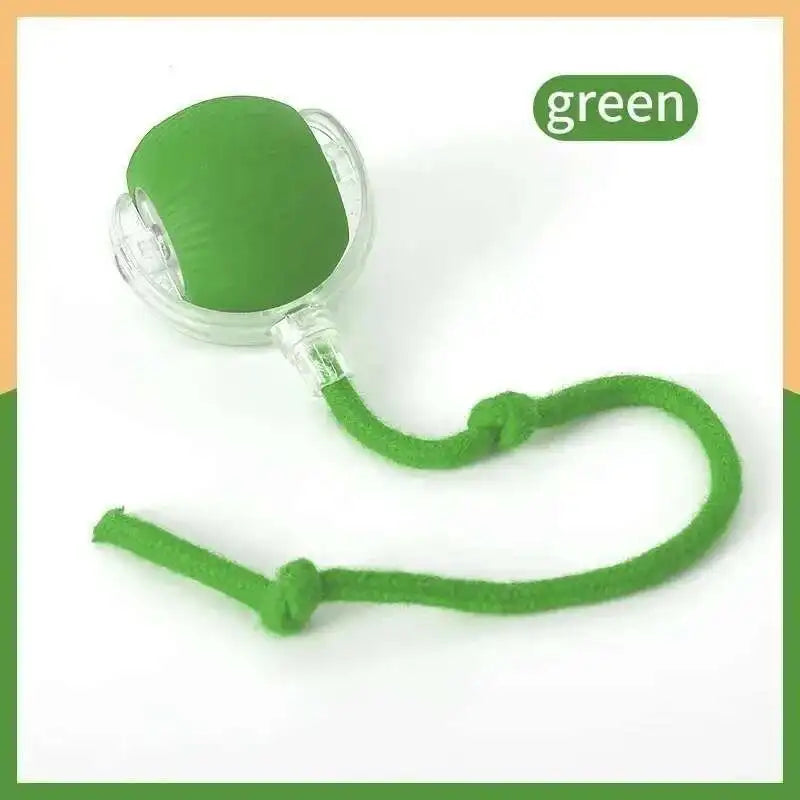 Smart Dog Toy Ball – 11 Colors