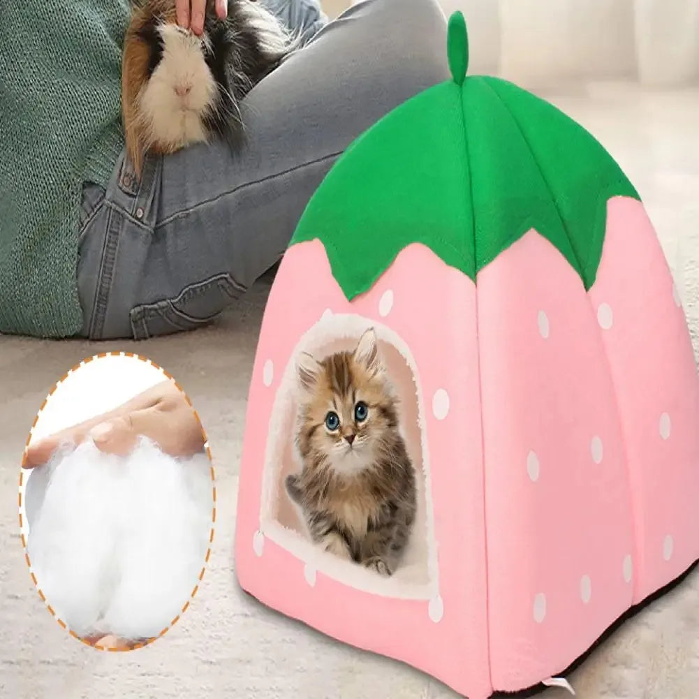 Bright Colored Pet Bed Space Pet Bed Cozy - MyPetDollar.com
