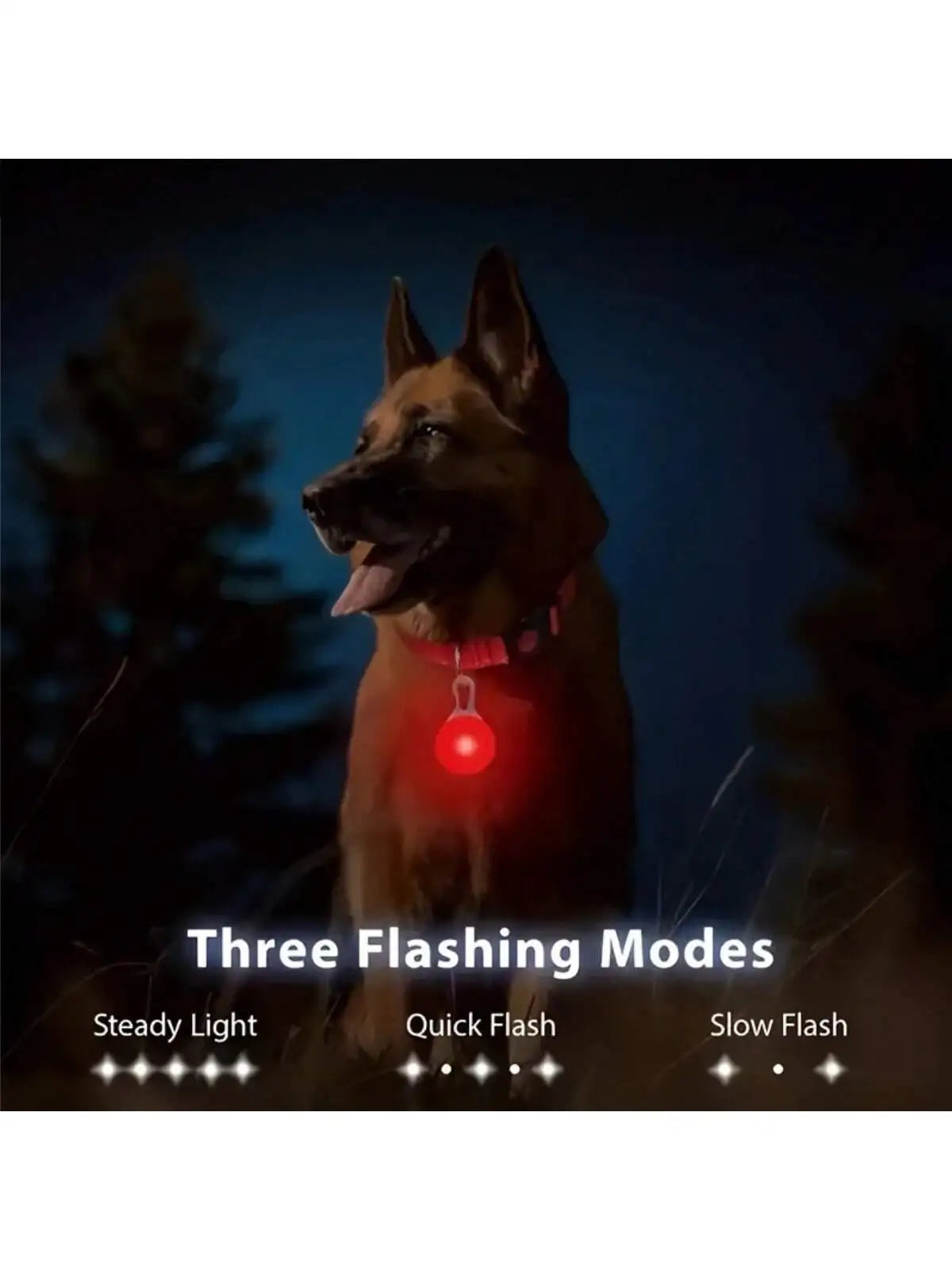 4-Color LED Dog Collar Pendant, Luminous - MyPetDollar.com