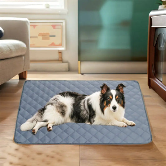 Practical Oxford Cloth Dog Cooling Mat - MyPetDollar.com