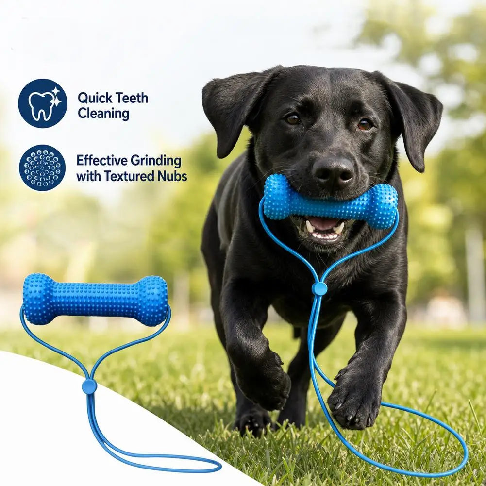 TPR Dog Squeaky Toothbrush Molar Chew Stick - MyPetDollar.com