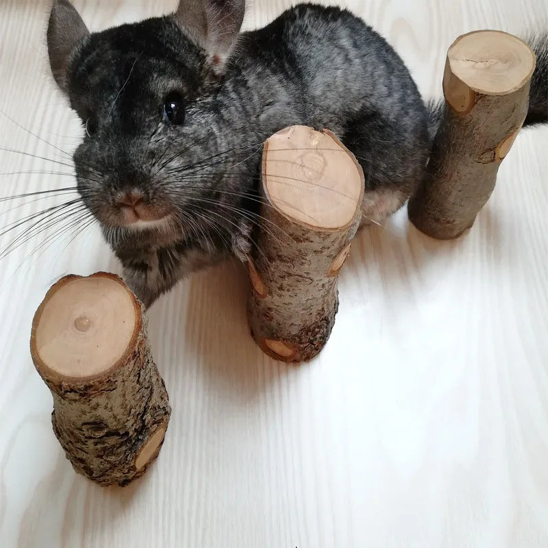 Pet Hamster Toy Natural Apple Tree Branch - MyPetDollar.com