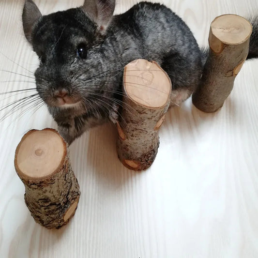 Pet Hamster Toy Natural Apple Tree Branch - MyPetDollar.com