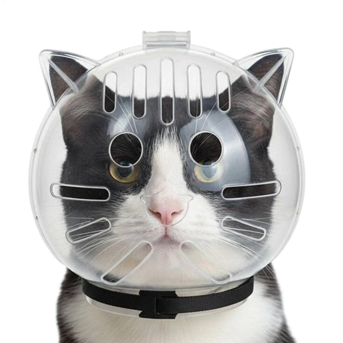 Cat Head Protection Ball, Pet Grooming - MyPetDollar.com