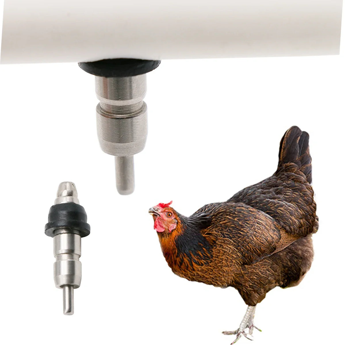 5 Pcs Chicken Drinking Water Nipples - MyPetDollar.com