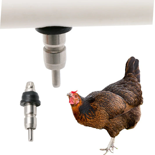 5 Pcs Chicken Drinking Water Nipples - MyPetDollar.com