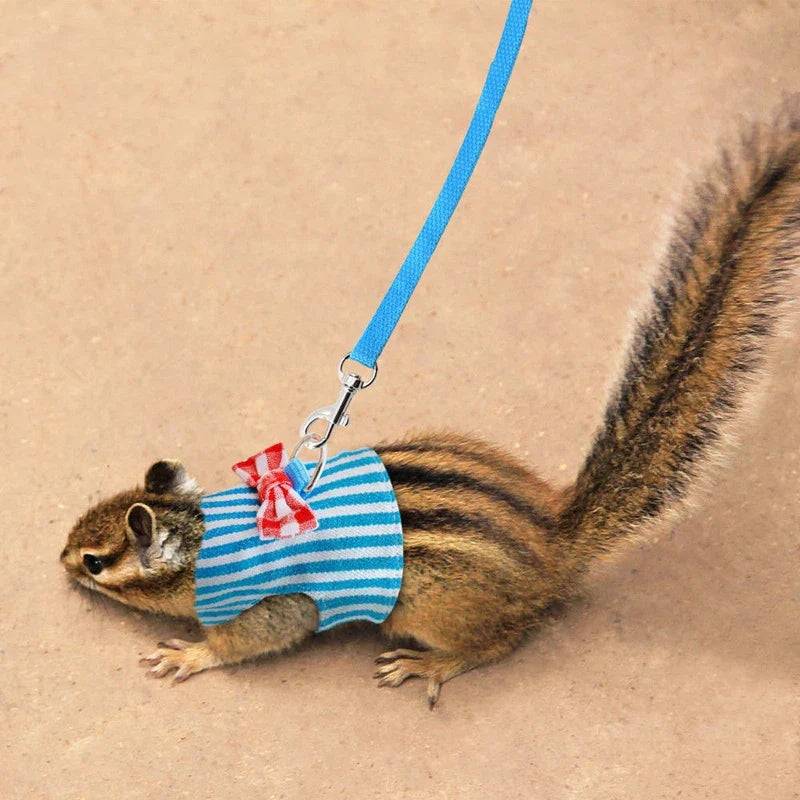 Small Pet Traction Strap Outdoor Traction - MyPetDollar.com