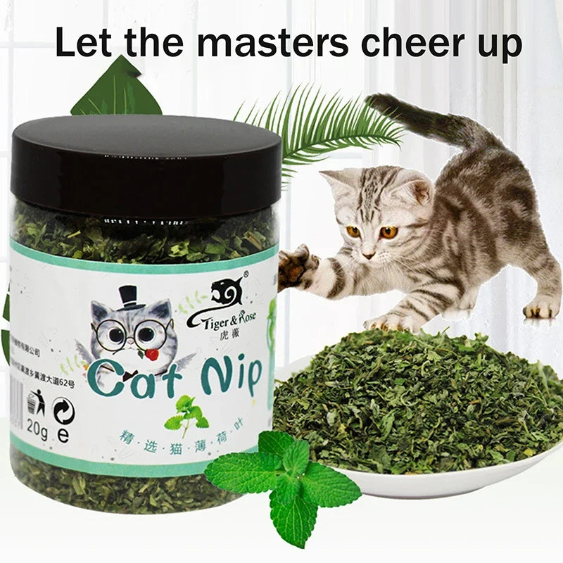 1pc Organic 100% Natural High Quality Catnip - MyPetDollar.com