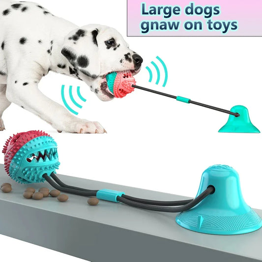 Large Dog Ball Toys Suction Cup Ropes - MyPetDollar.com