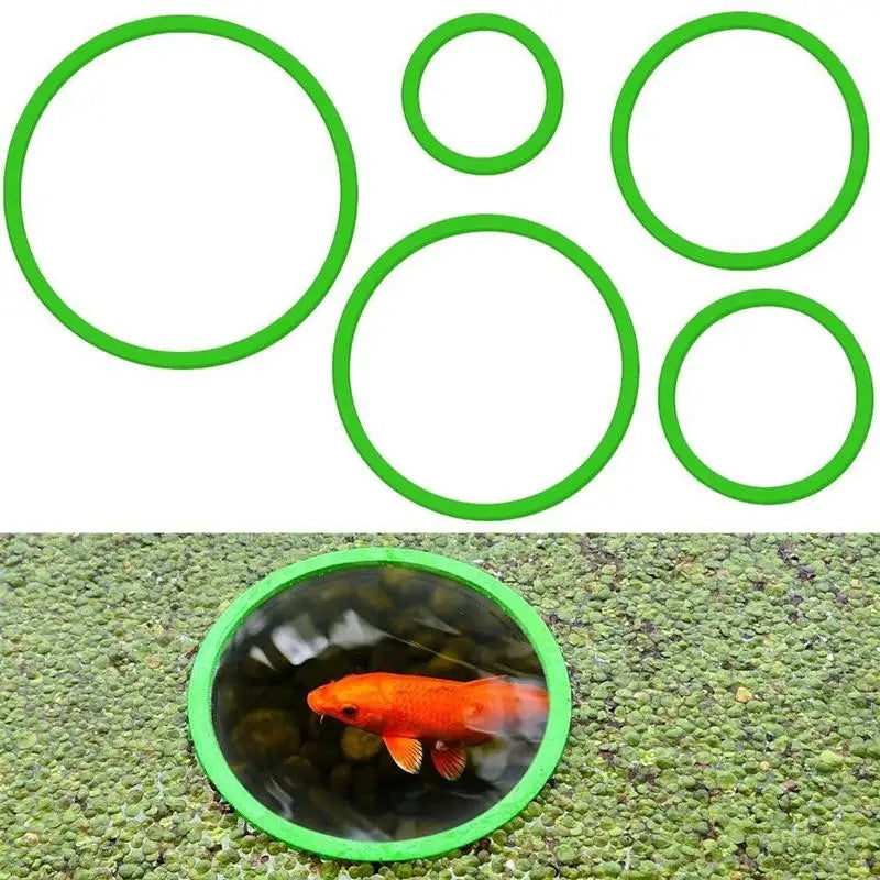 5/10Pcs Aquarium Floating Plant Rings Fish - MyPetDollar.com