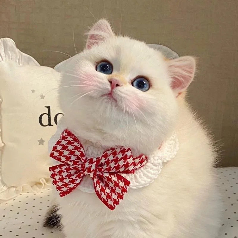 1PC Fashionable and Cute Cat Collar with - MyPetDollar.com