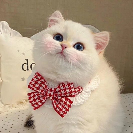 1PC Fashionable and Cute Cat Collar with - MyPetDollar.com