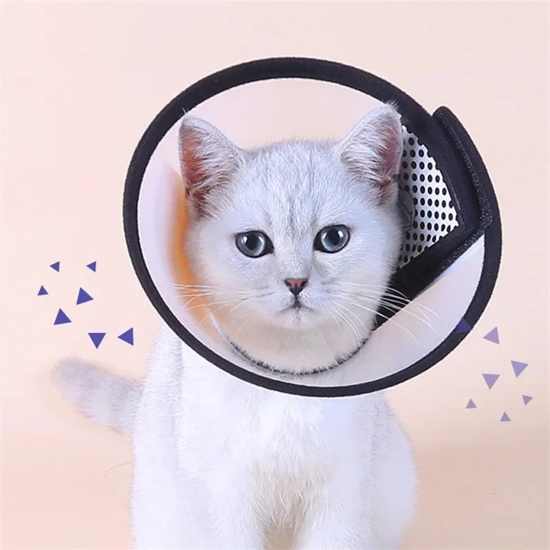 Pet Protective Collar Dog Neck Cone Recovery - MyPetDollar.com